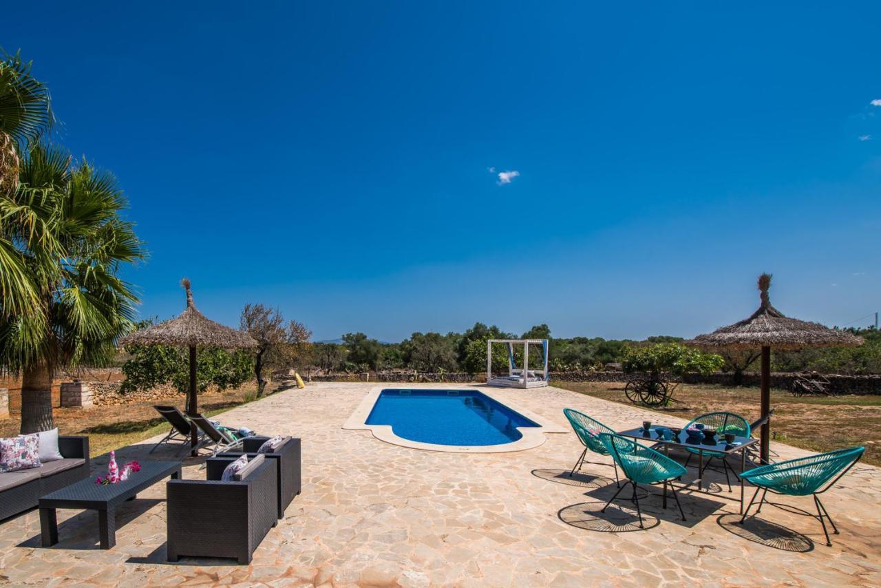 Ideal Mallorca - Frit