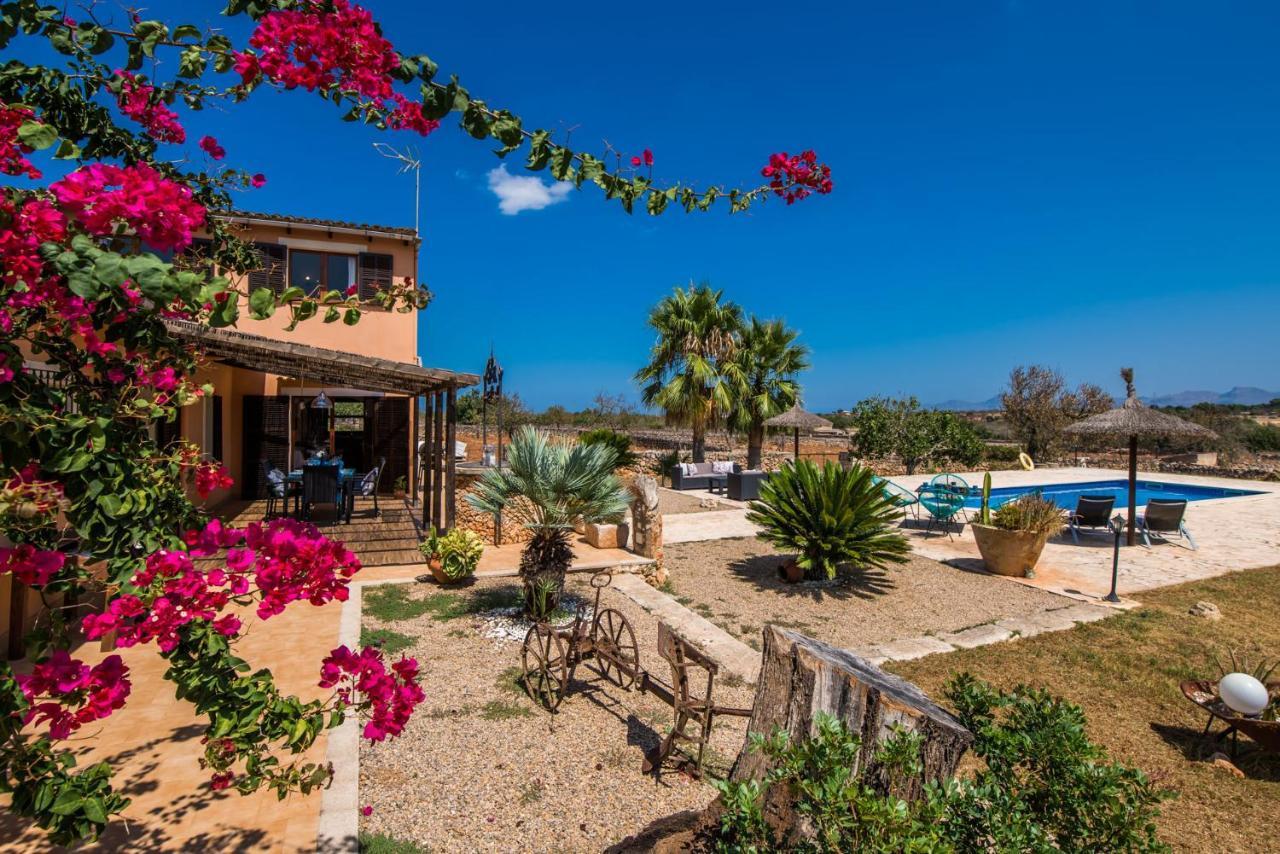 Ideal Mallorca - Frit *