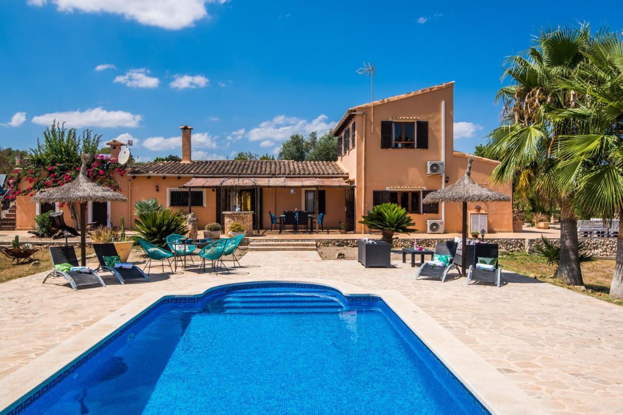 Country house Ideal Mallorca - Frit