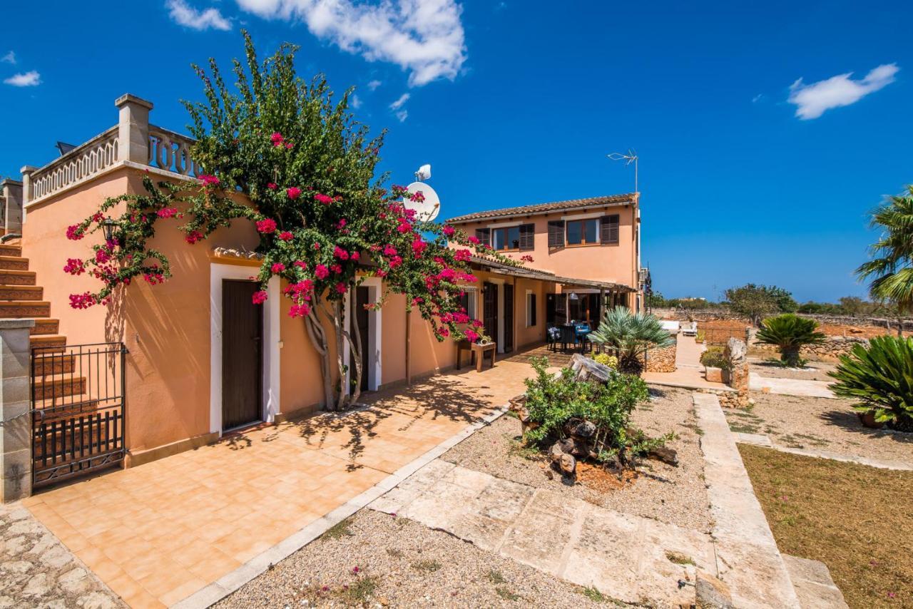 Country house Ideal Mallorca - Frit Santa Margarita (Mallorca)