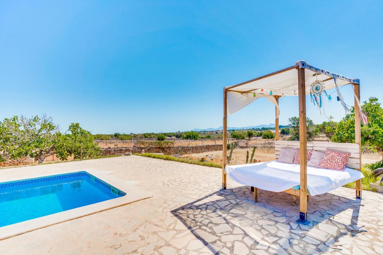 Ideal Mallorca - Frit *