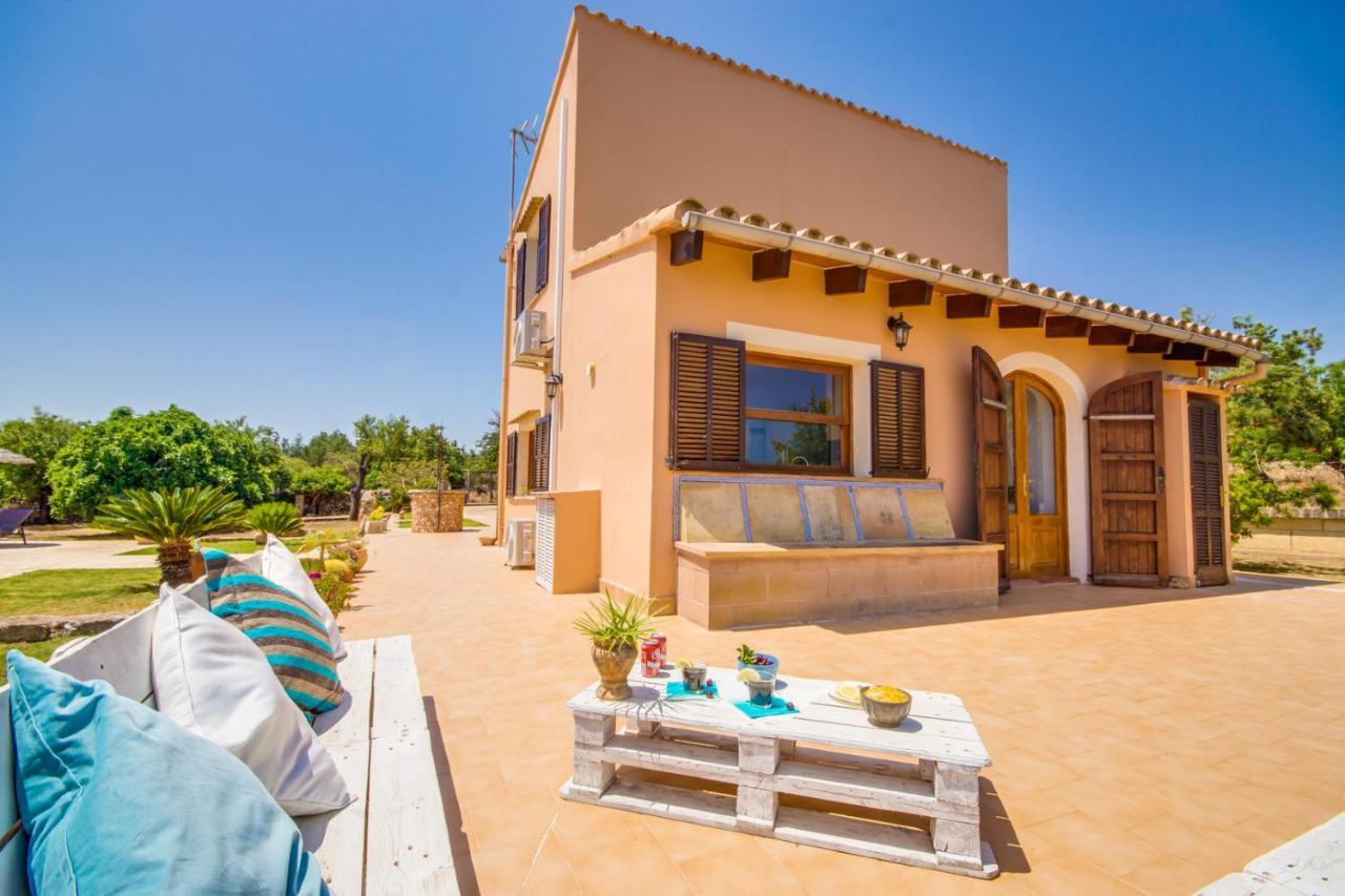 Ideal Mallorca - Frit